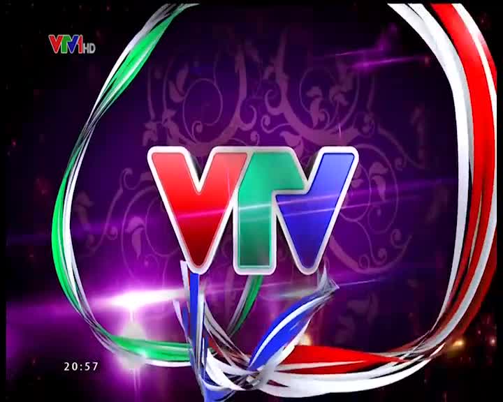 Gặp Gỡ VTV – Giao Lưu Chào Năm Mới (2016)