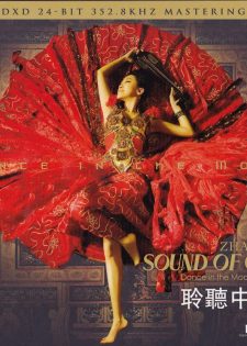 Zhao Cong – Sound Of China – Dance In The Moon