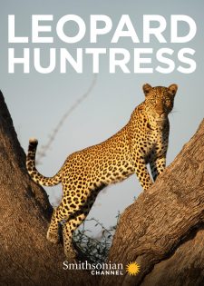 Leopard Huntress