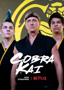 Võ Đường Cobra Kai: Phần 1